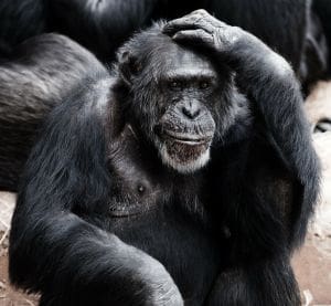 De zin en onzin van communicatieve vaardigheden (4)
