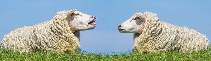 De zin en onzin van communicatieve vaardigheden (2)
